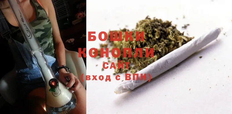 где купить наркоту  Вытегра  Бошки Шишки OG Kush 